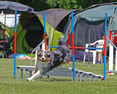 Agility verspringen